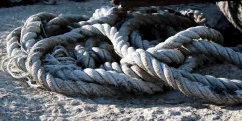 Constanţa: O femeie a fost găsită spânzurată într-un copac în satul Arsa