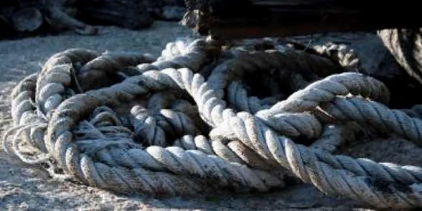 Constanţa: O femeie a fost găsită spânzurată într-un copac în satul Arsa