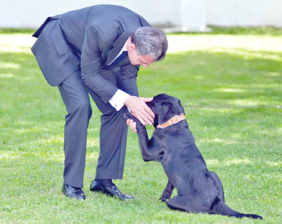 Principele Radu îl alintă  pe Troy