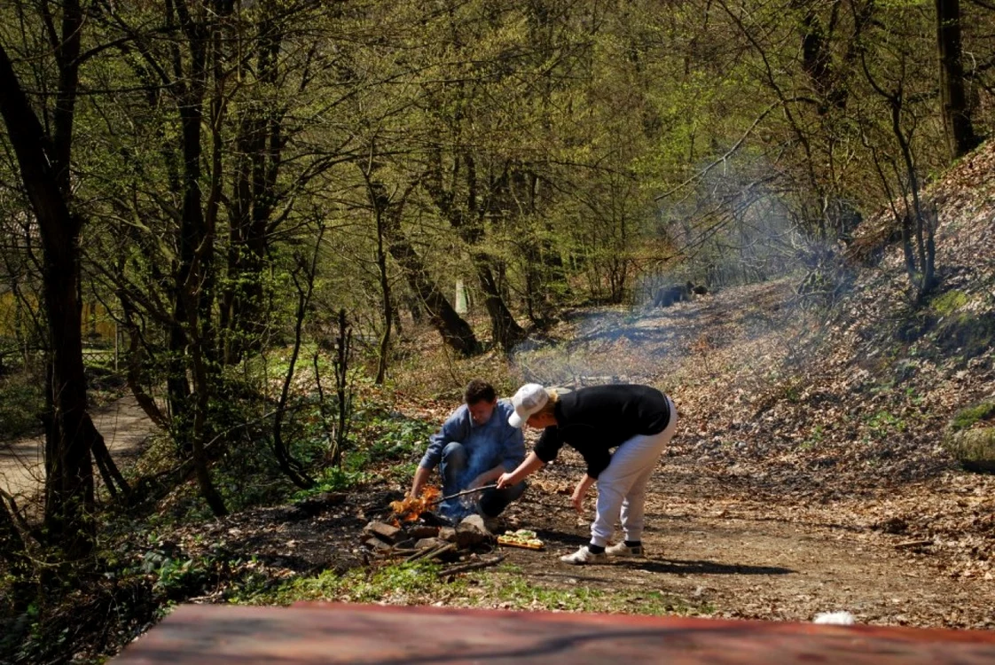 Legea picnicului, intrată în vigoare în 2012, prevede cum trebuie ieşit la grătar FOTO Arhivă