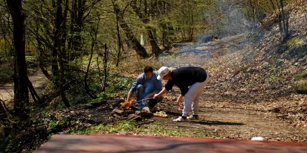 picnic de 1 mai