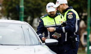 ID278512 INQUAM Photos Cornel Putan jpg