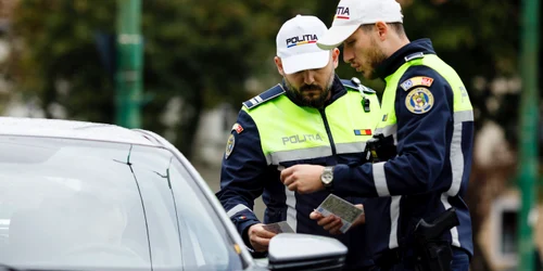 ID278512 INQUAM Photos Cornel Putan jpg