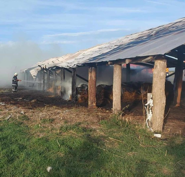 Incendiu devastator la Arad: persoană arsă la mâini și 50 de ovine moarte în flăcări 