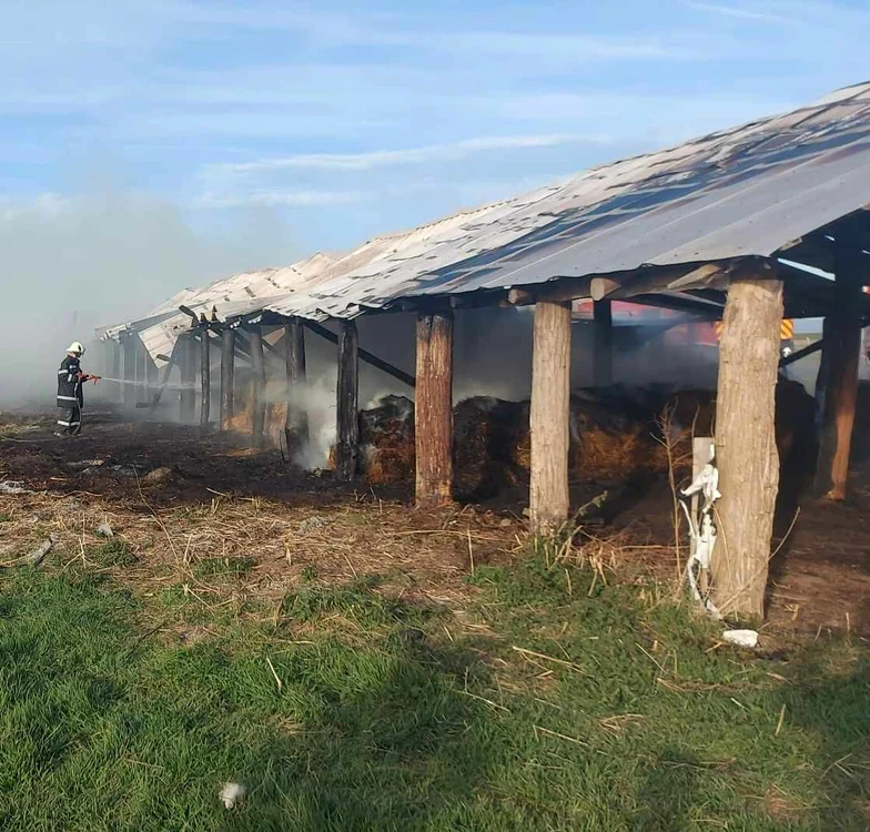 Au ars și câteva tone de fân FOTO ISU Arad 