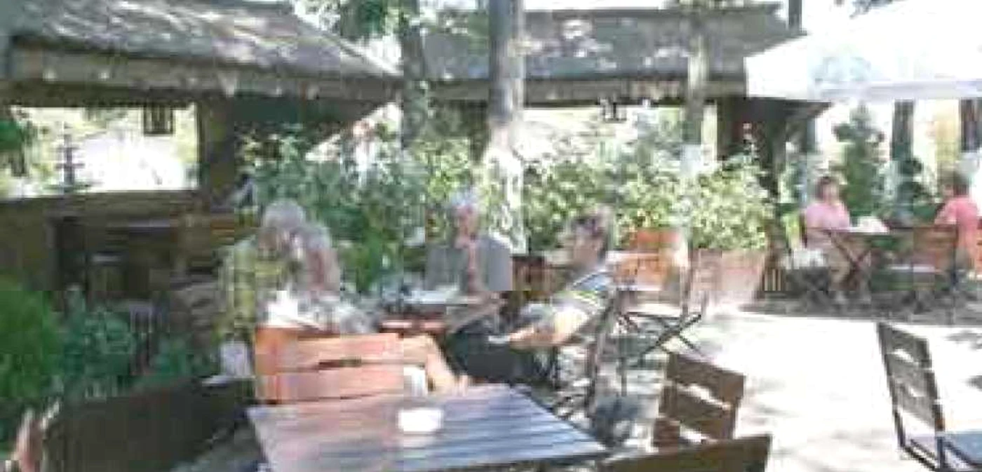 Constanţa: Litoral 2009 / Insula Ovidiu din Mamaia, viaţa exotică de pe litoral