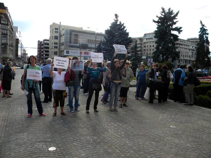 Iubitorii de animale au protestat împotriva eutanasierii câinilor, dar şi împotriva primarului Bădescu. FOTO Dana Mihai