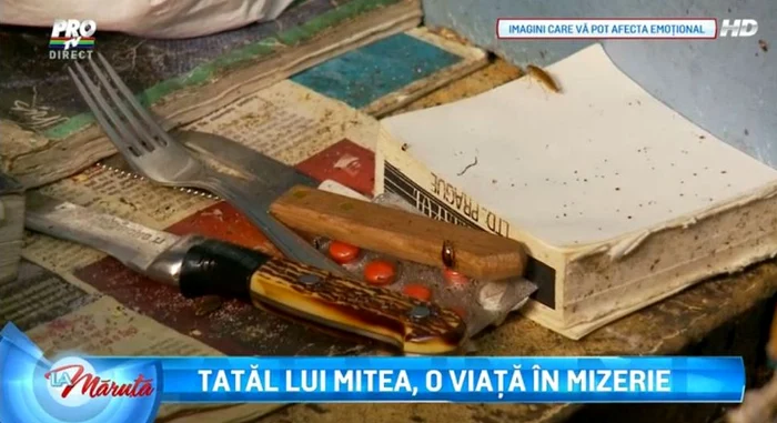 Locuinţa tatălui lui Mitea e plină de gândaci