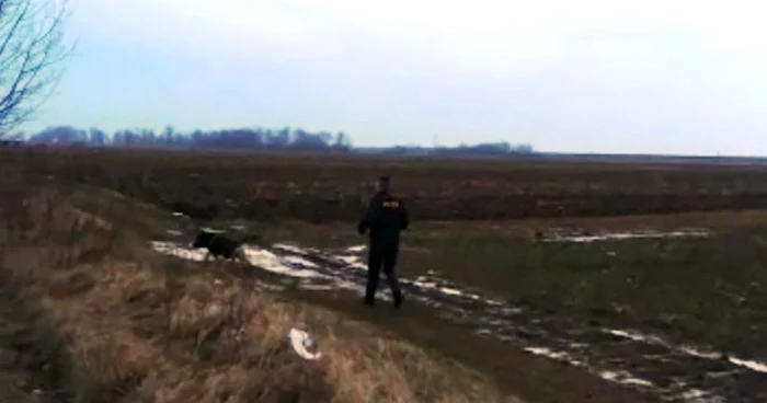 După ce a abandonat maşina, Florin Dinu a mers pe jos 3 kilometri. Câinele special antrenat i-a luat urma şi l-a găsit în apropire de o pădure