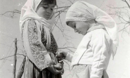 Muzeul satului Dimitrie Gusti2 jpg