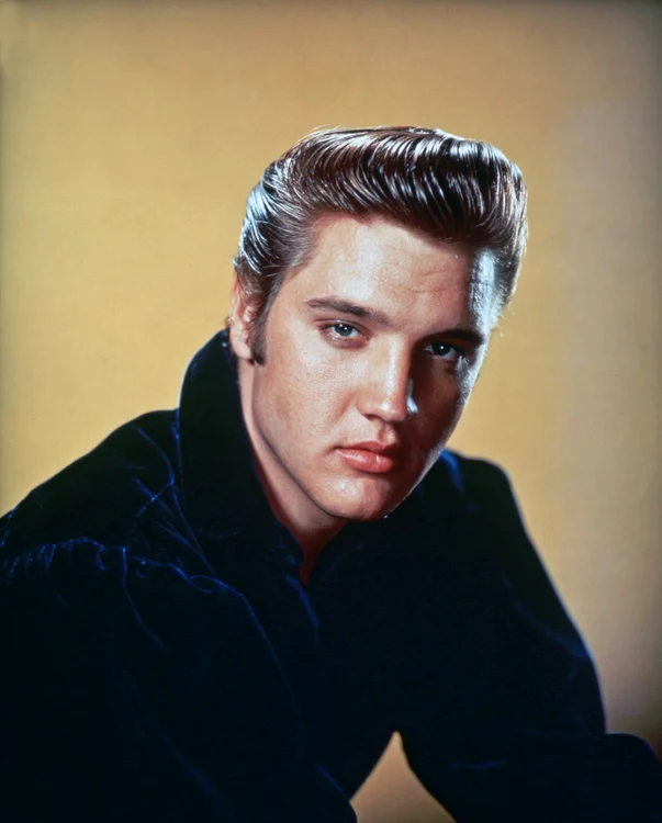 elvis profi jpg