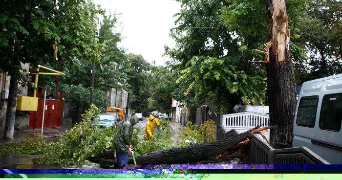 Furtuna de duminică după-amiază a rupt mai mulţi copaci în Capitală FOTO Arhivă