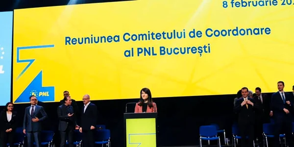 violeta alexandru presedinte pnl bucuresti Foto Violeta alaxandru Facebook