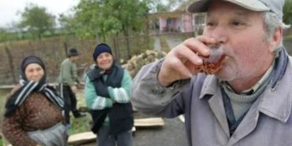 Sătenii din Ceamurlia de Jos: „Porcina este  la fel ca aviara“
