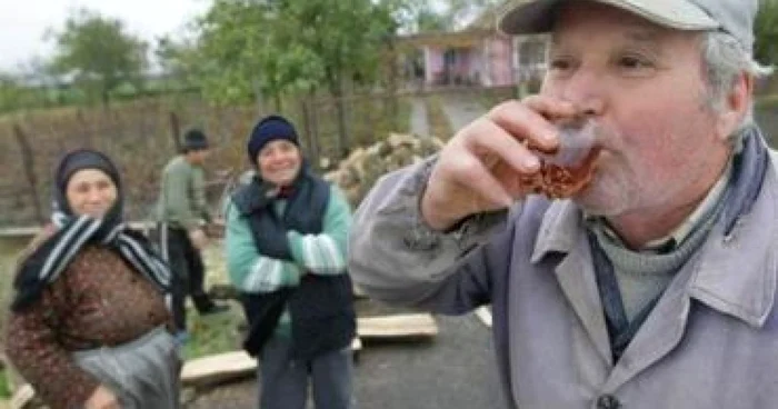 Sătenii din Ceamurlia de Jos: „Porcina este la fel ca aviara“