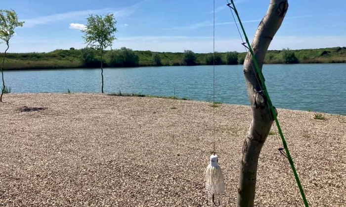 Principalele 6 bălți din România, cele mai frecventate de pescari jpeg