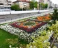 flori Craiova