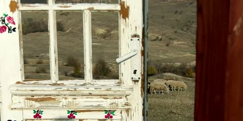 buzau poarta instagramabila 1 mp4 thumbnail png