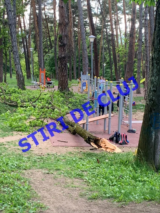 
    Creanga a căzut peste un copil și mama luiFoto: stiridecluj.ro  