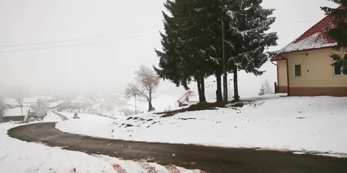 61c354f65163ec4271de2ec2 jpg