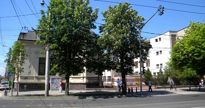 Fostul sediu Distrigaz va deveni Casă a Căsătoriilor. FOTO Adevărul Ploieşti