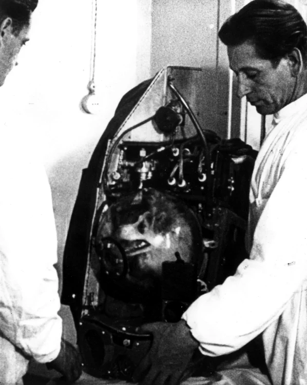 Laika și satelitul Sputnik 2