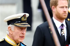 Charles și Harry, Getty jpg