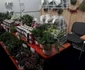 agromalim
