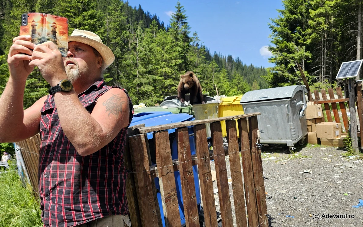 Un turist străin făcându-și poze cu un urs. Foto: Daniel Guță. ADEVĂRUL