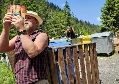 Urs pe Transfăgărășan  Foto Daniel Guță ADEVĂRUL (166) jpg
