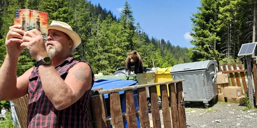 Urs pe Transfăgărășan  Foto Daniel Guță ADEVĂRUL (166) jpg