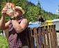 Urs pe Transfăgărășan  Foto Daniel Guță ADEVĂRUL (166) jpg