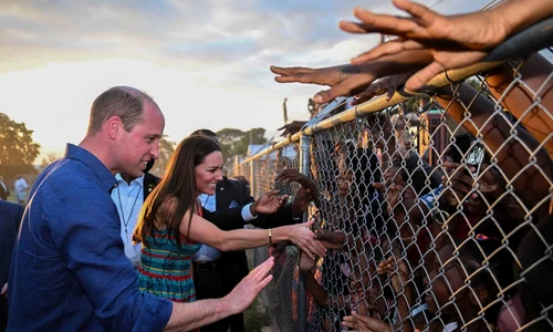 1 kate will profimedia 0672482704 jpg jpeg