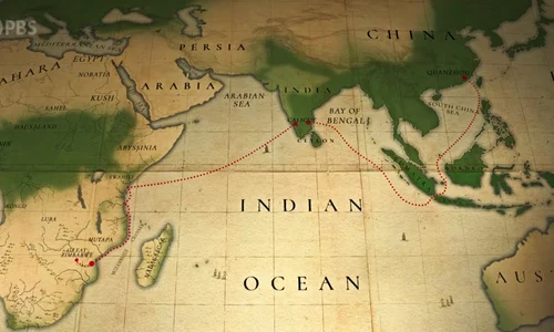 Ceramică chinezească descoperită în Marele Zimbabwe 