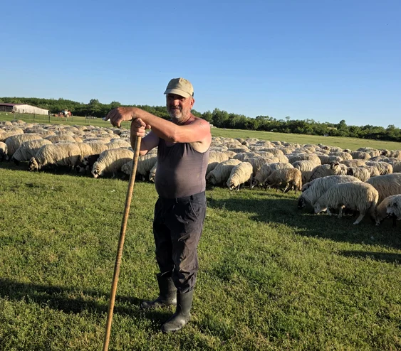 Ioan Dzitac este unul dintre crescătorii care așteaptă banii FOTO. arhiva personală