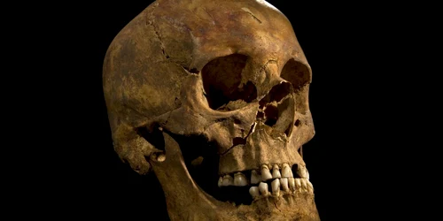 craniul lui richard al iii-lea reuters