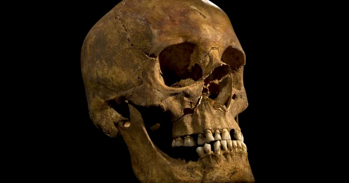 craniul lui richard al iii-lea reuters