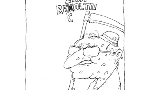 Exact așa e o revoluție jpeg