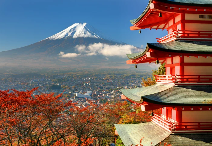 Calatorie in bucataria japoneza jpeg