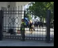 Și Adrian Năstase a fost prezent la înmormântarea lui Iliescu jpg