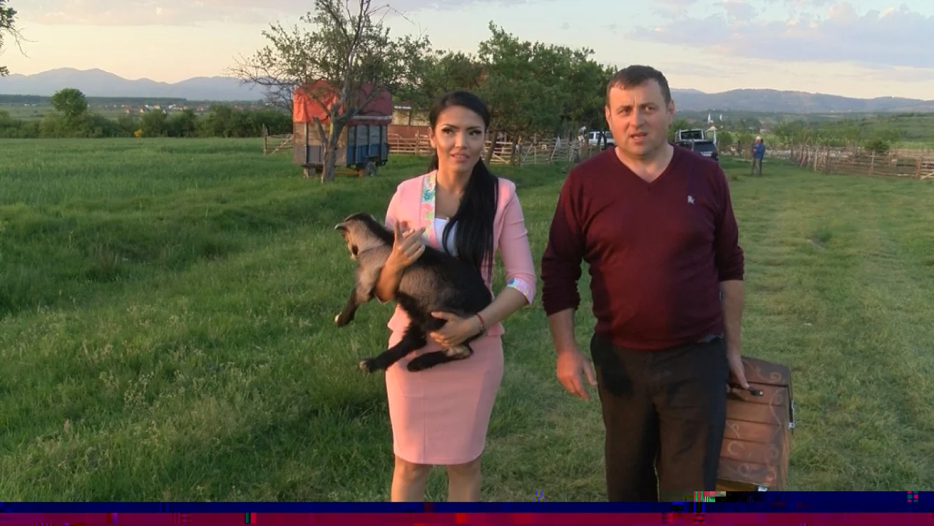 andreea mantea kanal d 
