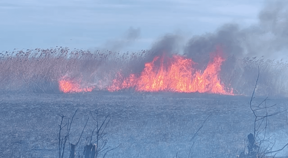 Incendiu în Rezervația Naturală Lacul Brateș din Galați. Au ars 15 hectare, însă complexul turistic a fost salvat VIDEO