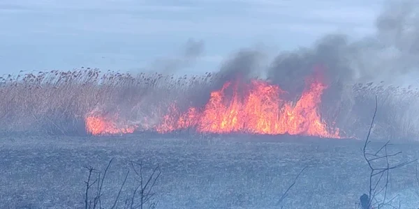 incendiu brates video mp4 thumbnail png