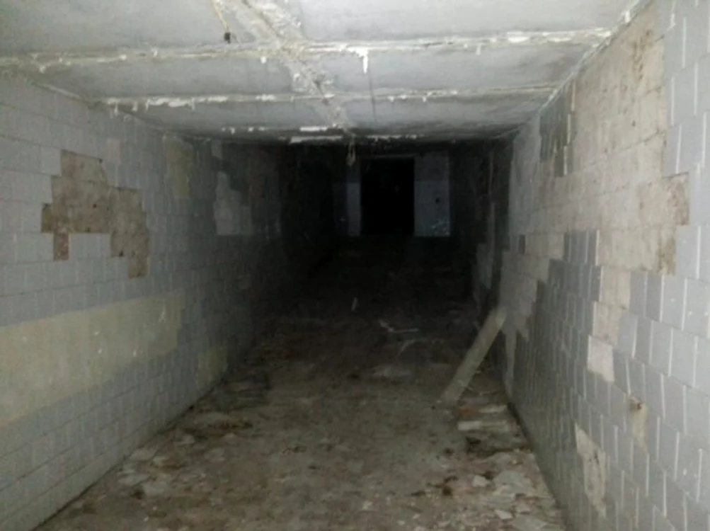 
    O clădire abandonată din Lituania pare desprinsă din filmele de groazăFoto Reddit/tylerpaduraru  