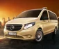 O parte din „hainele” îmbrăcate de Mercedes-Benz Vito de-a lungul timpului Foto:Mercedes-Benz