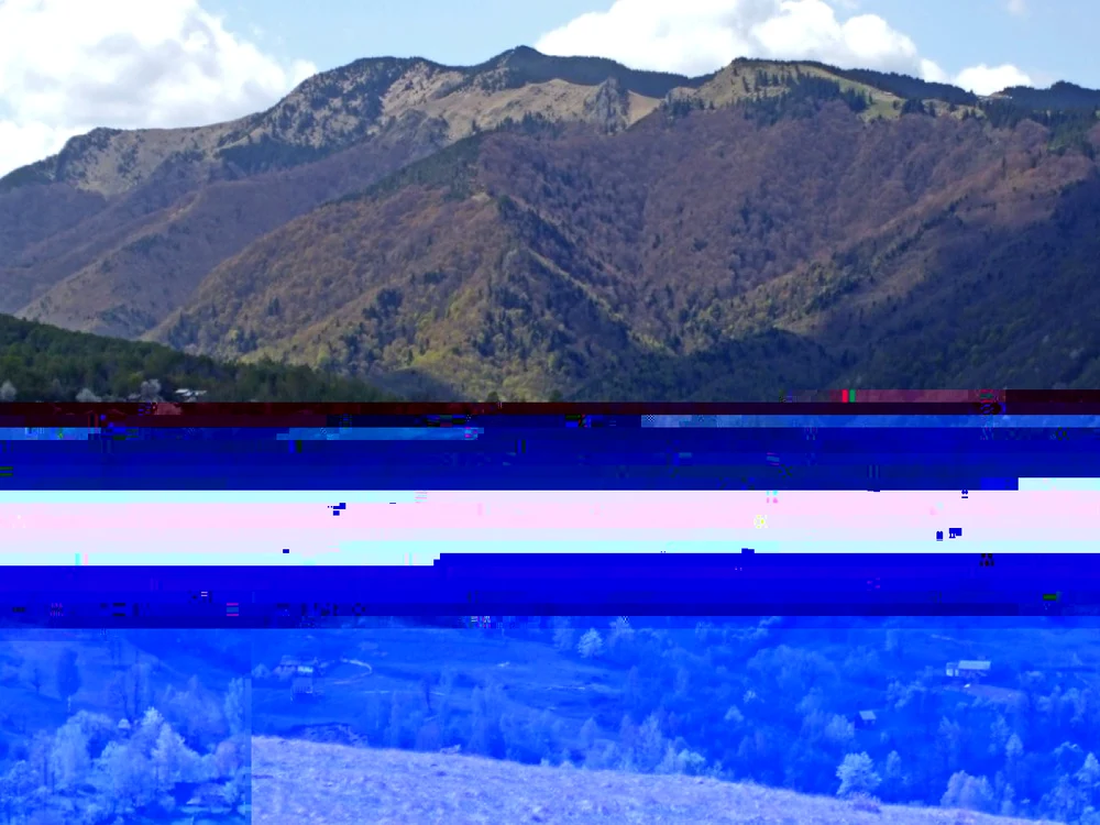 Munţii Vrancei poartă în ei o mină de aur