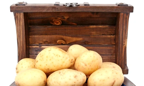 1 74272 original jpg jpeg