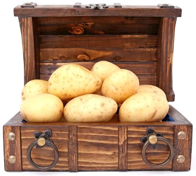 1 74272 original jpg jpeg