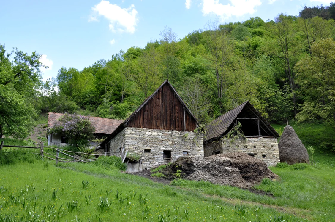Ceru Băcăinţi este o comună din Alba Foto: Wikipedia