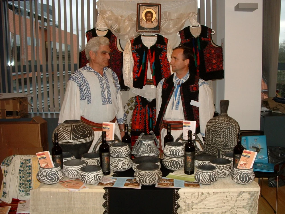 dumitru liceanu1